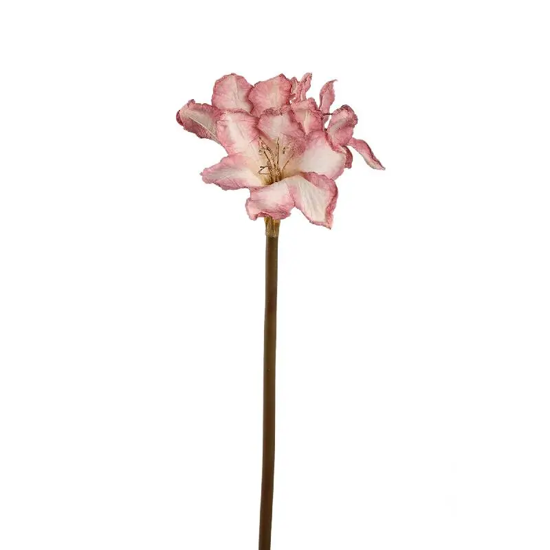 Amaryllisblume - Hellrosa Amaryllis-Stiel, Metall, Kunststoff, Leinwand | PTMD
