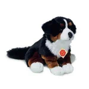 Berner Sennenhund 29 cm