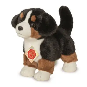 Berner Sennenhund Welpe 23 cm
