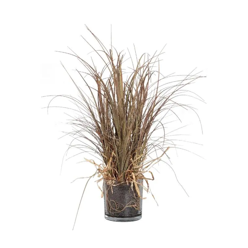 Blätterpflanze – Beige Elefantenfußpalme im Glasvase aus Glas, Kunststoff & Poly, M | PTMD