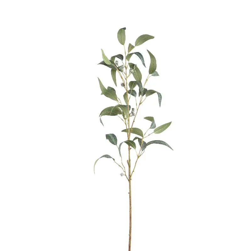 Blätterpflanze – Grüner Eukalyptus-Spray mit Samen Lang aus Polyestergewebe | PTMD
