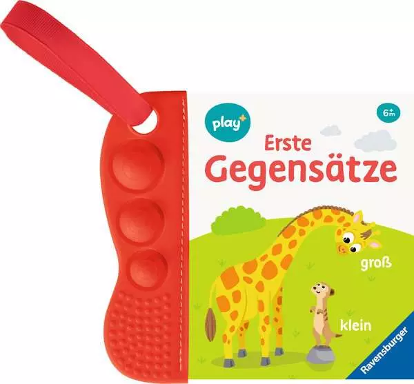 Buggybuch