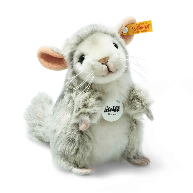 Chinchilla Chinchi