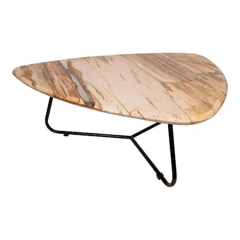 Couchtisch – Versteinertes Holz, Organische Form, Naturbelassene Oberfläche, S – Deeba | PTMD
