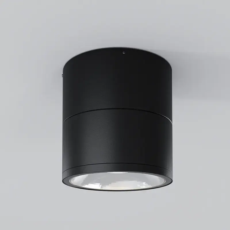 Deckenleuchte – Graphitschwarzes Metall mit Glas, 12 W LED, Warmweiß, 10,8 cm Höhe - Spin | Maytoni