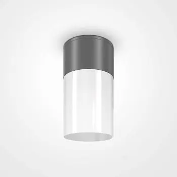 Deckenleuchte – Graues Finish, Aluminium Kunststoff Gehäuse, E27 Fassung, Ø8 cm - Willis | Maytoni