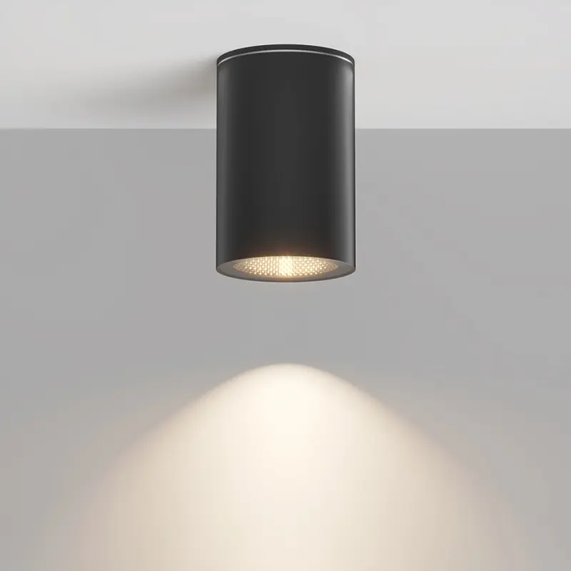 Deckenleuchte – Schwarze Farbe, Aluminium Material, Zeitlose Eleganz - Roll | Maytoni
