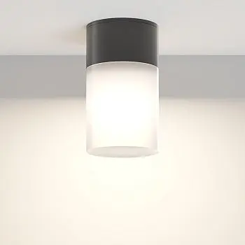 Deckenleuchte – Schwarzes Finish, Aluminium Kunststoff Gehäuse, E27 Fassung, Ø8 cm - Willis | Maytoni