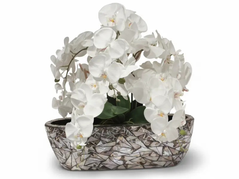 Frühlingsblumen in Deko-Schale