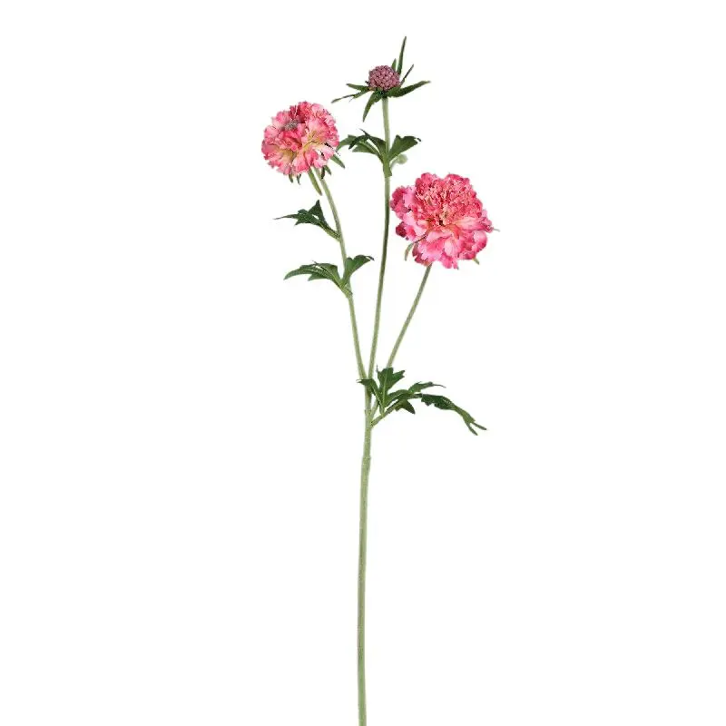 Gartenblume - Rosa Scabiosa Spray mit Knospe, Polyesterstoff, Halbhändig gefertigt | PTMD