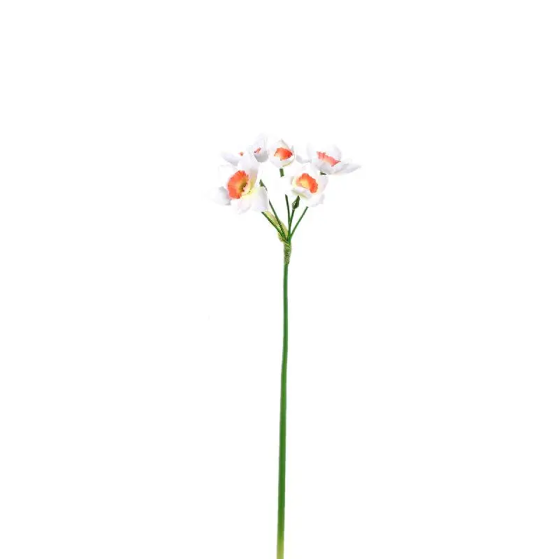 Gartenblume – Weiße Narzisse Spray, Polyestergewebe | PTMD