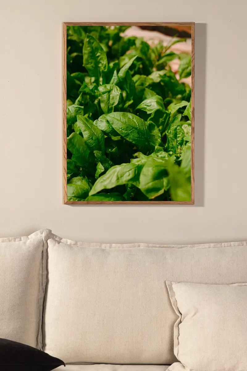 Grünes Blatt Poster Wanddekoration