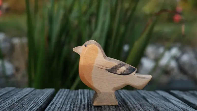 Holzwald Buchfink