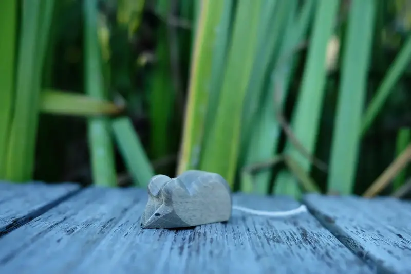 Holzwald Maus