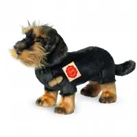 Hund Rauhaardackel 28 cm