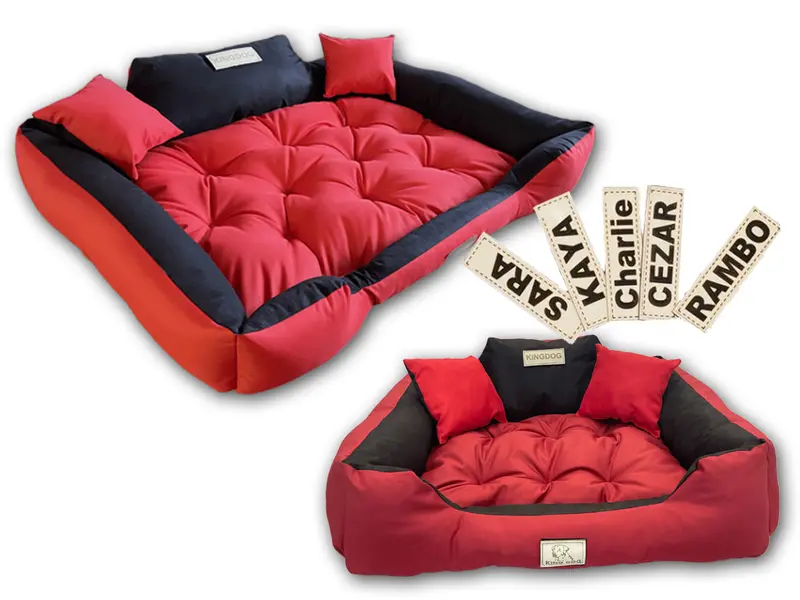 Hundebett mit Rand KINGDOG 100 x 75 cm personalisierbar wasserabweisend czerwone