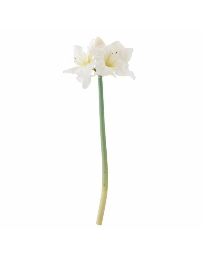 Kunstblume Amaryllis I Weiß