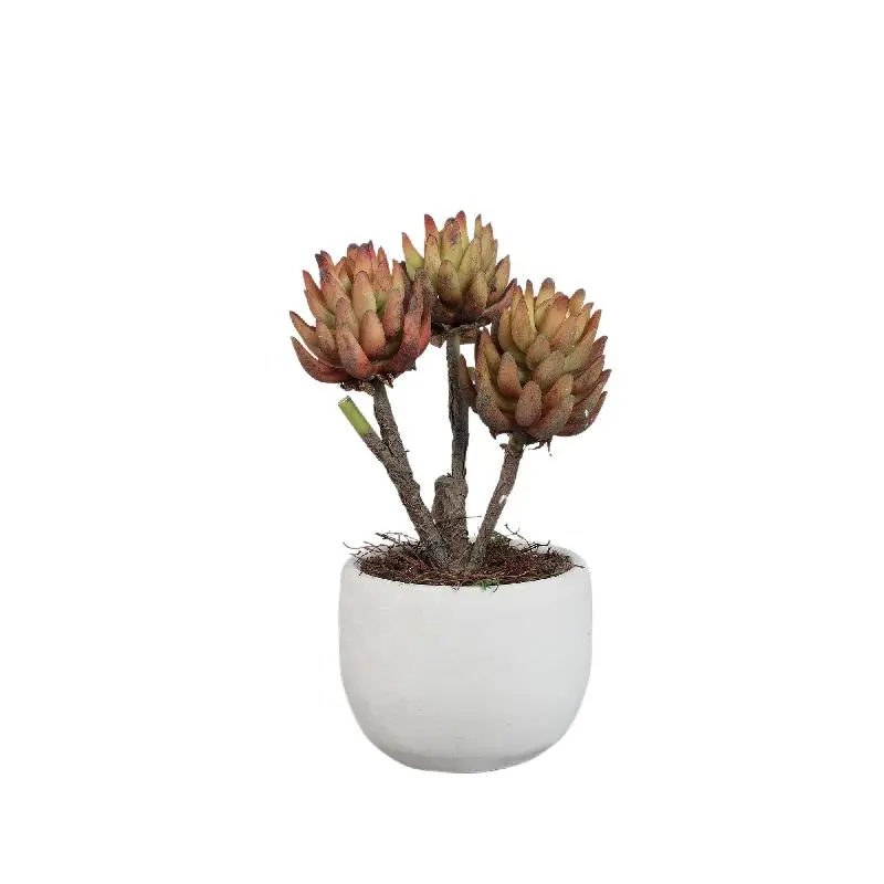 Kunstpflanze - Bronze Echeveria, Zementtopf, Kunststoff | PTMD