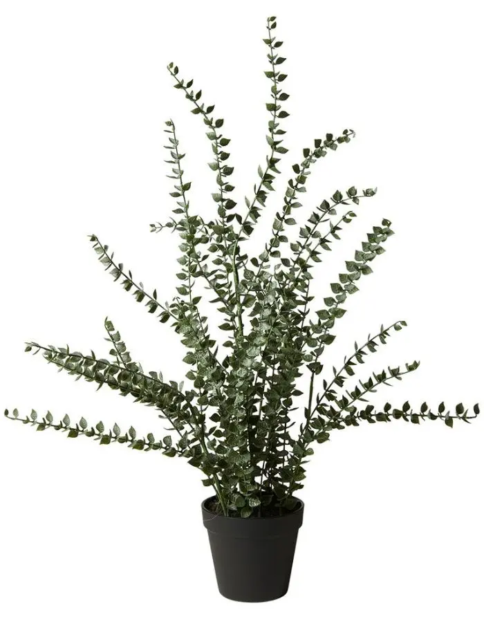 Kunstpflanze Eukalyptus H 72cm I Grün