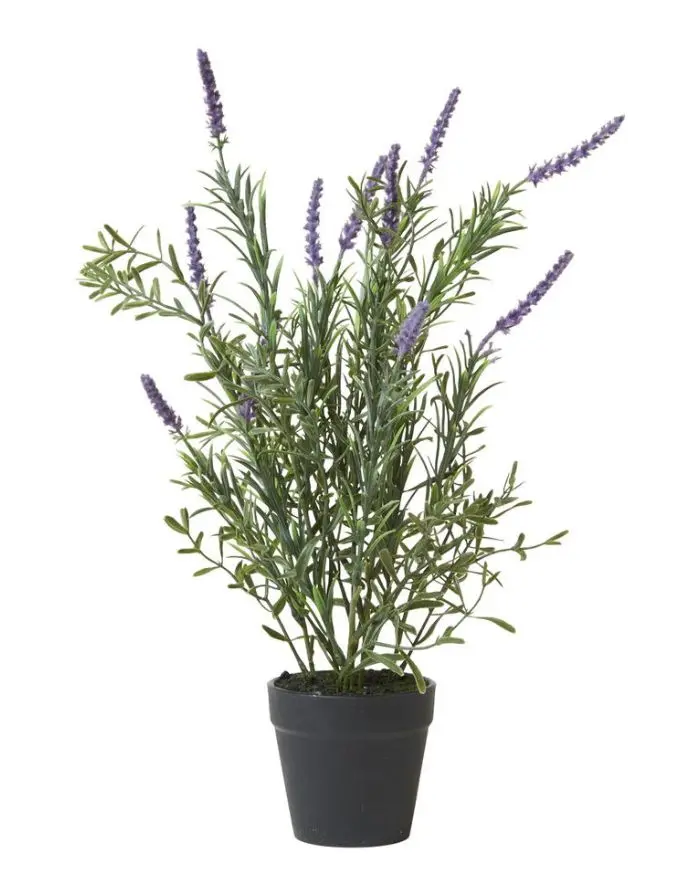 Kunstpflanze Lavendel im Topf H 41cm I Green/Purple