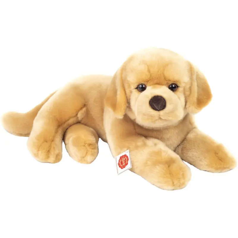 Labrador Retriever 25 cm