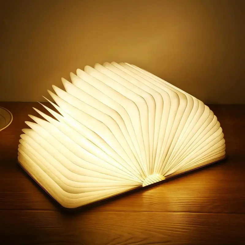 Leuchte Buch