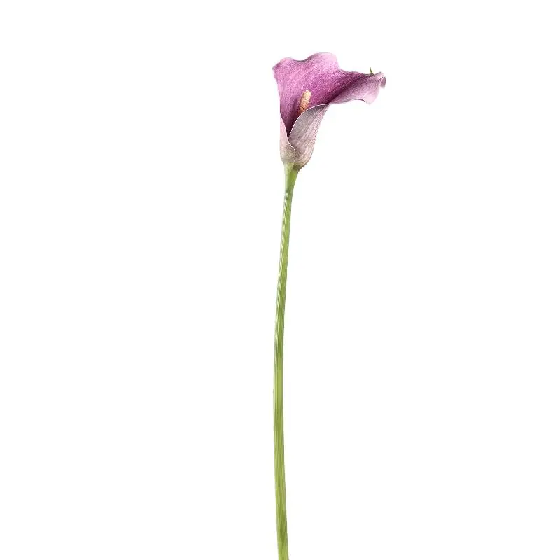Lilienblume - Lila Calla Lilie Spray, Schaumstoff, Handgefertigt | PTMD
