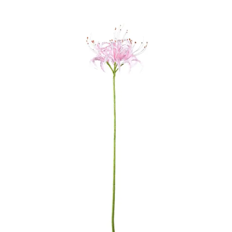 Lilienblume – Rosa Spinnenlilie, Kunststoff, Handgefertigt | PTMD