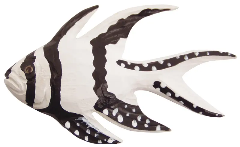 Magnet Banggai-Kardinalbarsch 8 cm Nr. 1616