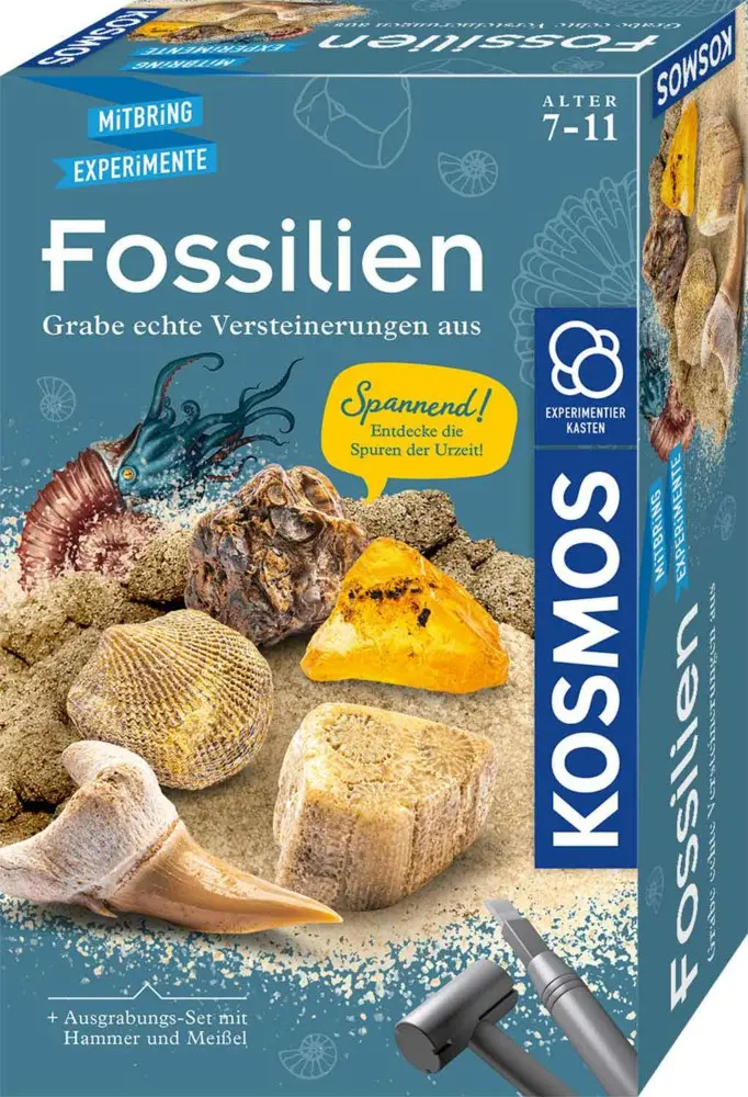 Mitbringexperiment - Fossilien