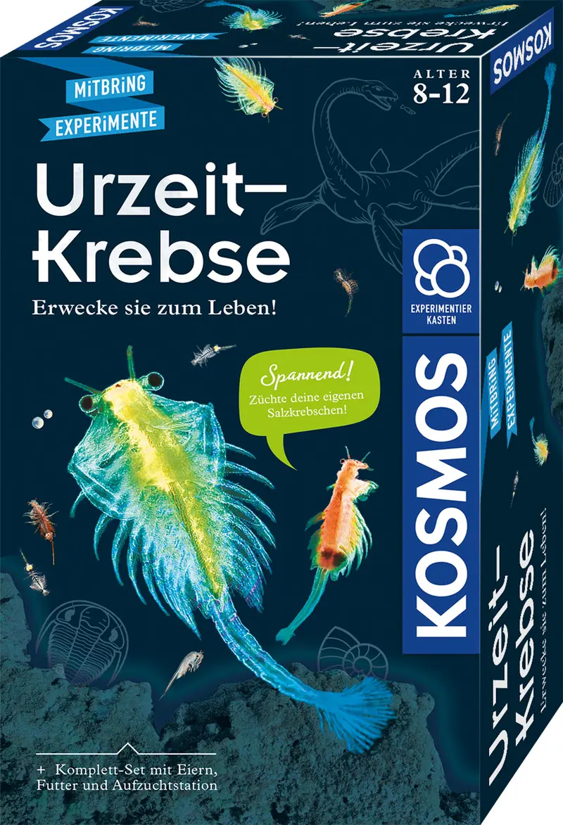 Mitbringexperiment - Urzeitkrebse selber Züchten