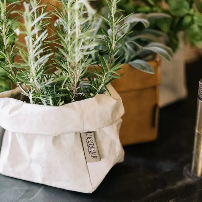 Paper Bag SMALL