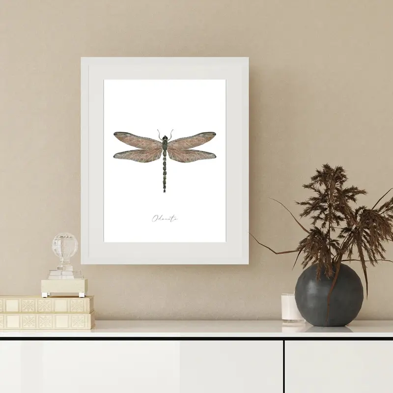 Poster - Libelle
