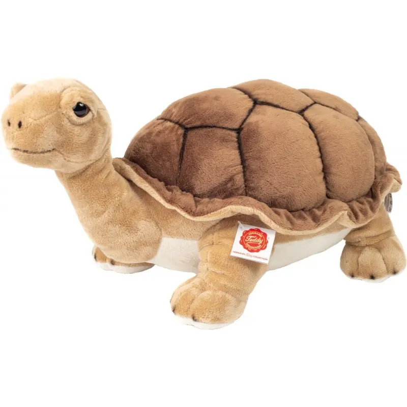Riesenschildkröte 50 cm