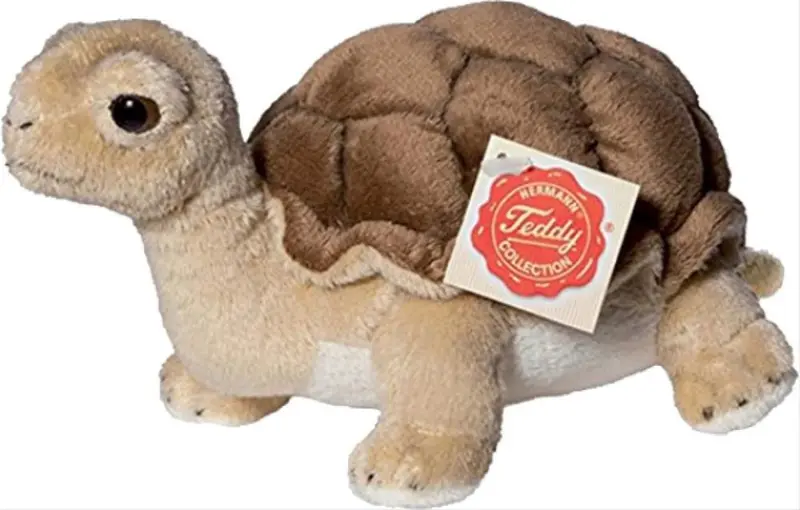 Schildkröte