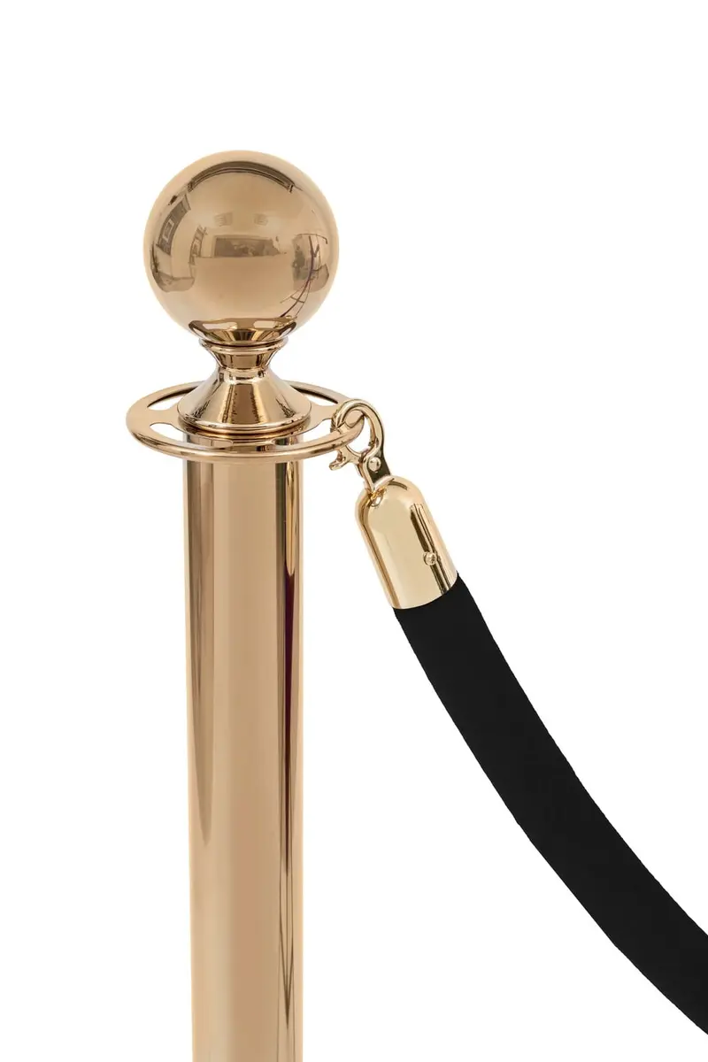 schwarzer Velours-Rand - goldene Schnalle