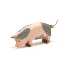 Schwein gefleckt, Kopf tief