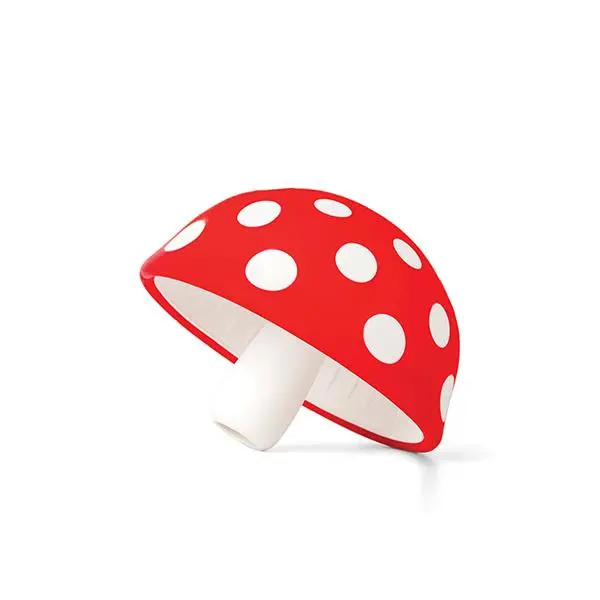 Trichter Mushroom