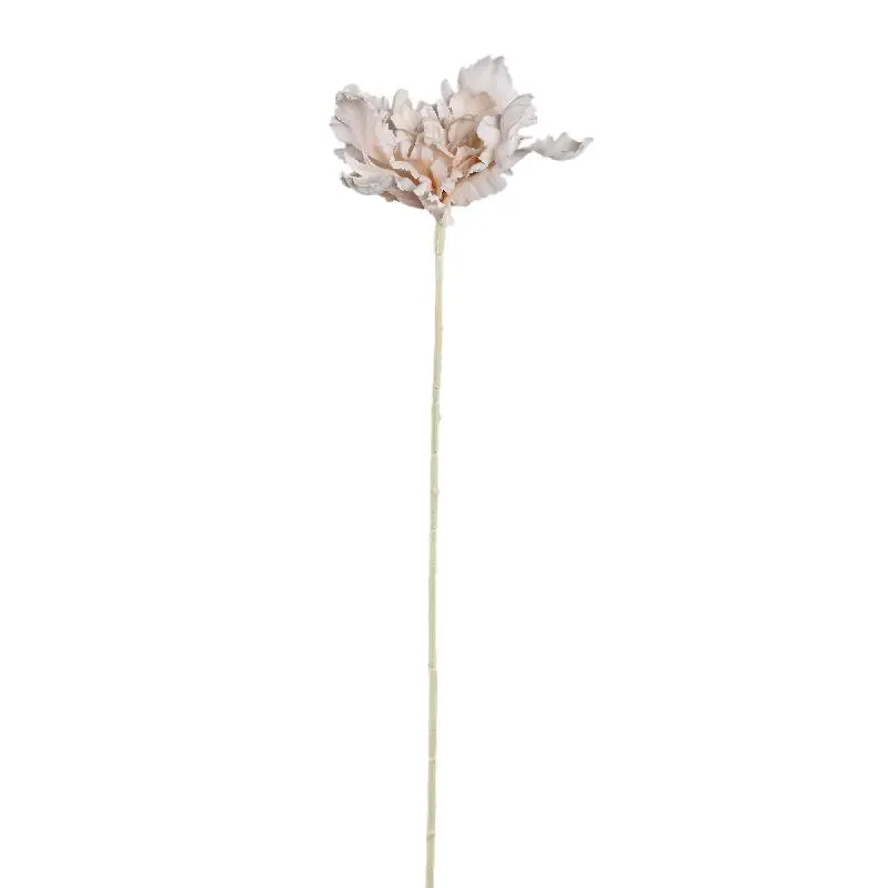 Tulpeblume - Creme Spinnen-Tulpe Stiel, Polyestergewebe, Halbhändig gefertigt | PTMD