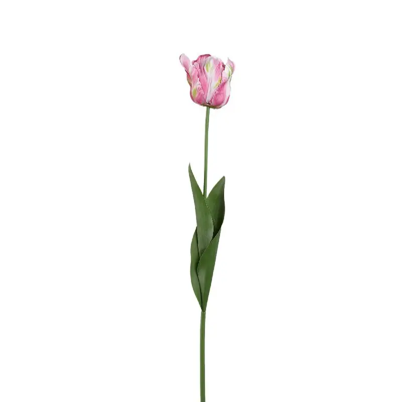 Tulpeblume - Rote Papageien-Tulpe mit Blättern, Kunststoff, Halbhändig gefertigt | PTMD