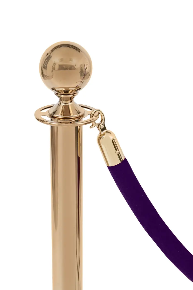 Violetter Velours-Rand - goldene Schnalle