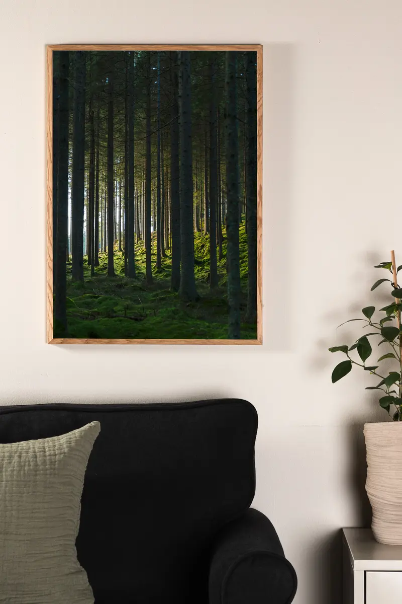 Woods Poster Wanddekoration