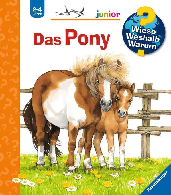 WWW Junior - Das Pony