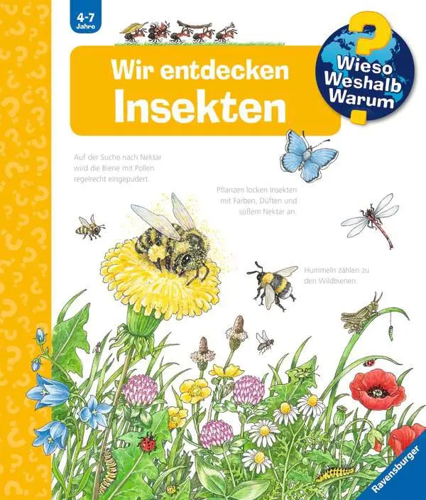 WWW - Wir entdecken Insekten