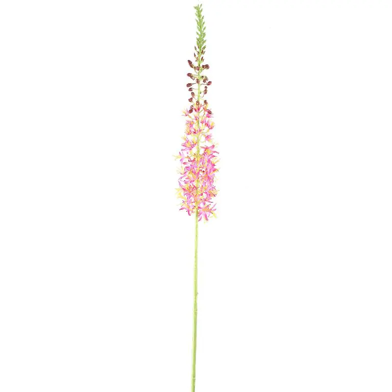 Zweigpflanze – Rosa Eremurus-Zweig aus Polyesterstoff, Eisenmetall und PE-Kunststoff | PTMD